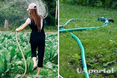 Как не помять растения на огороде шлангом во время полива