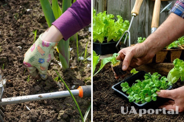 Місячний посівний календар на липень-2023