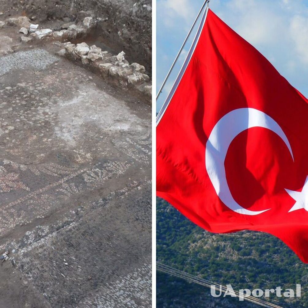 Ancient pebble mosaic of the 4th century BC discovered in Turkey (photo)