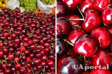 Як вибрати хорошу черешню по запаху та виду