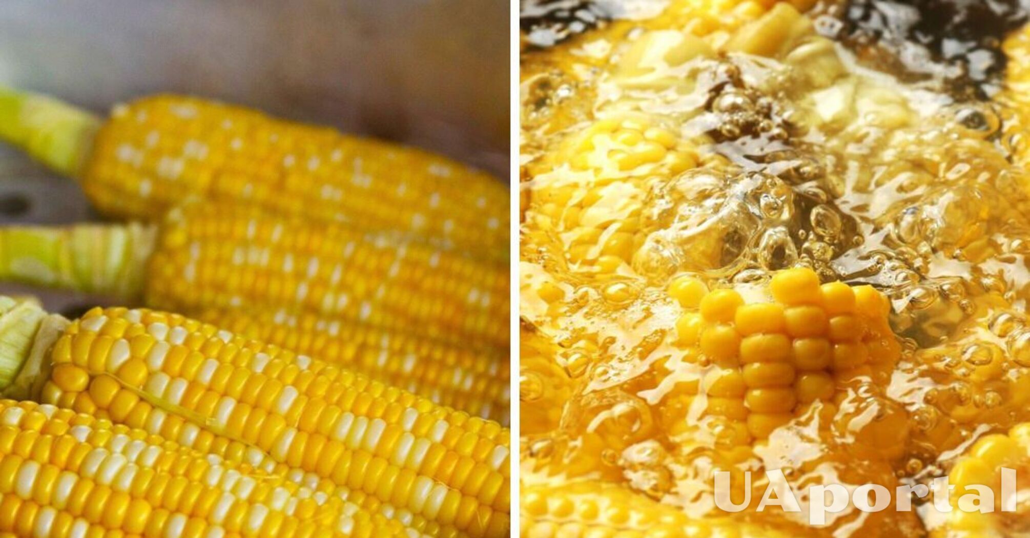 Що додавати в кукурудзу під час варіння?