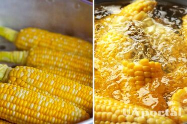 How to cook corn to make it tasty