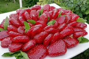 Як приготувати цукати з полуниці