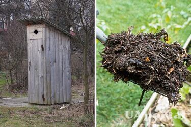 Как удобрять растения на огороде человеческими фекалиями