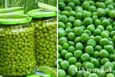 Как закрыть зеленый горошек без стерилизации: советы опытных хозяек