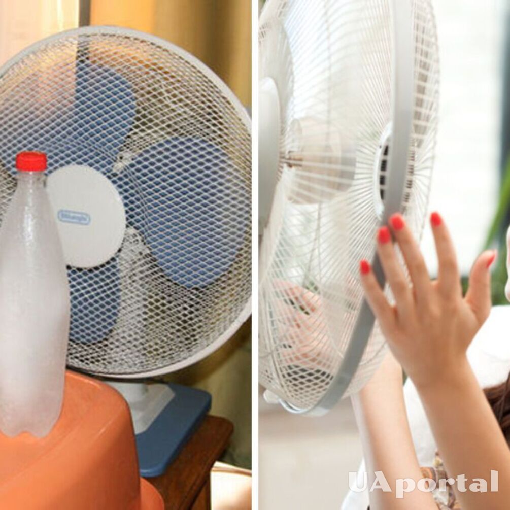 Sunscreen and humidifier: top 5 ways to cool your apartment in the heat 