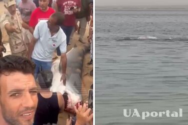 В Египте поймали акулу, съевшую российского туриста (видео)