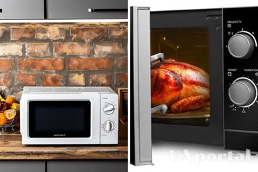 Яйця та метал: які продукти та посуд категорично заборонено ставити у мікрохвильовку