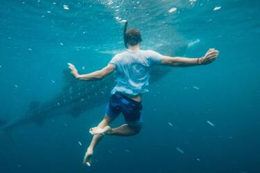 Акула напала на туристів біля пляжу в Єгипті, росіянин не вижив (відео)