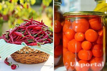 Як закрити гострі помідори з соусом чилі: секрети консервації