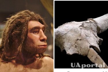 Вчені натрапили на докази існування примітивних вірувань у неандертальців: знайшли черепи тварин віком 40 тисяч років 