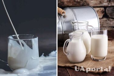 Как продлить срок годности молока: действенный лайфхак