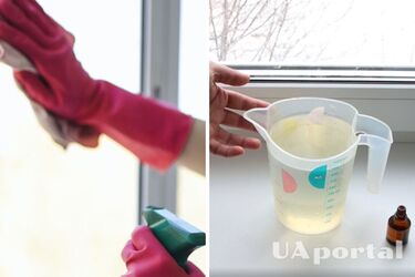 Як помити вікна без спеціальних хімічних засобів