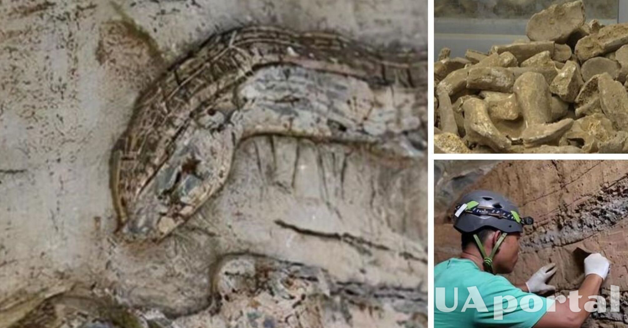 Fossils of 6,000-year-old prehistoric snakes discovered in China (photo)