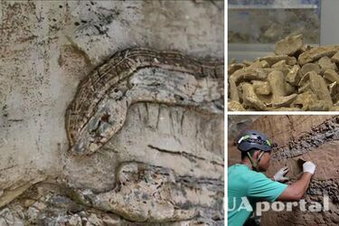В Китае нашли окаменелости доисторических змей в возрасте 6 тысяч лет (фото)