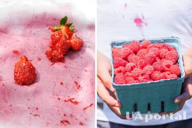 Як видалити плями від фруктів та ягід на одязі