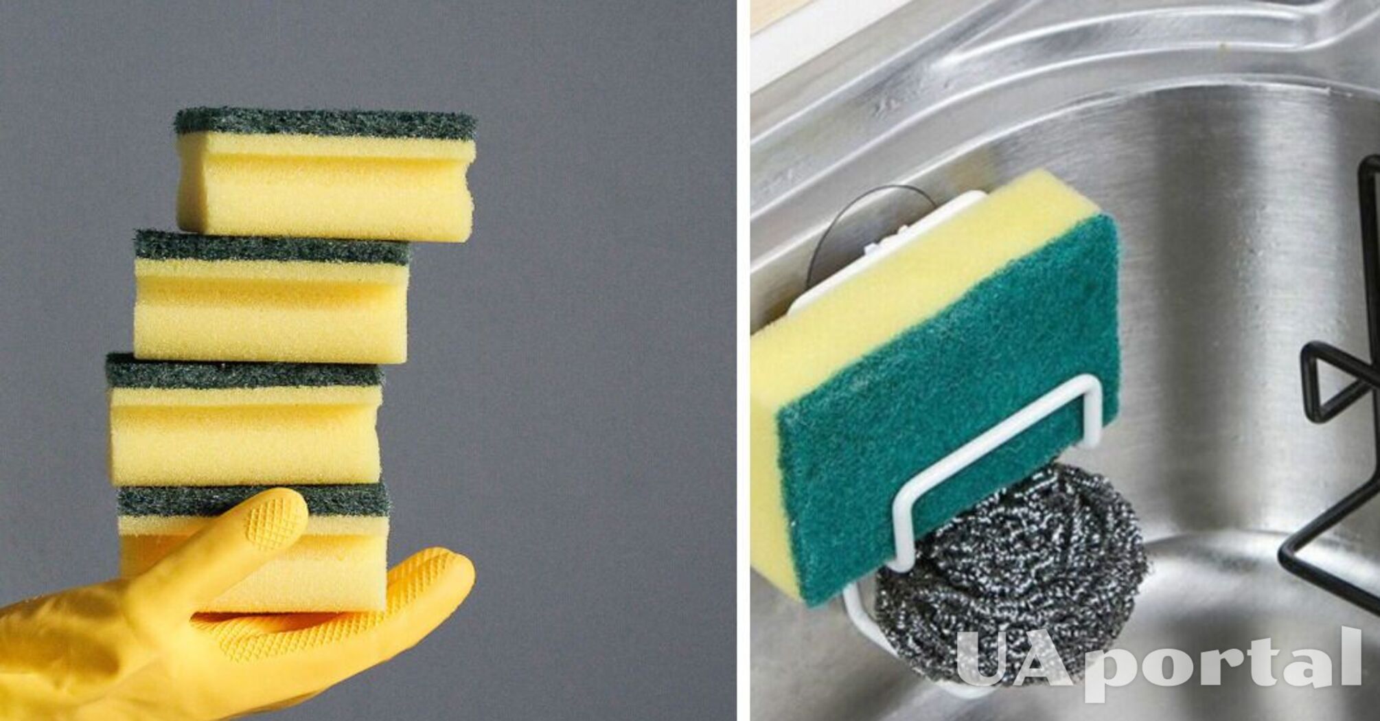 How to store a dish sponge to prevent unpleasant odors: disinfection rules