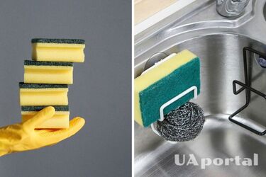 How to store a dish sponge to prevent unpleasant odors: disinfection rules