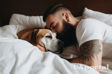 Чому сон із тваринами має позитивні наслідки: народні забобони та наукові думки