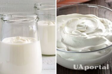 Чи можна заморожувати сметану: ви будете здивовані