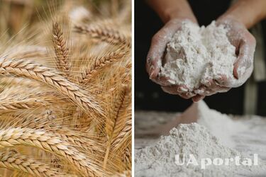 Где и как хранить муку в домашних условиях, чтобы привлечь богатство – как стать богатым – народные приметы о деньгах