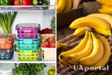 How to store fruit properly so that it does not spoil for a long time