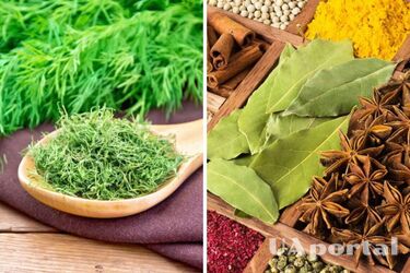 Чем заменить укроп при консервировании овощей: полезные советы от опытных поваров