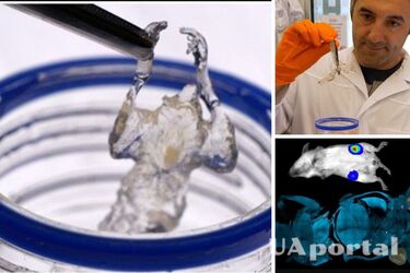 Scientists make mice transparent to find better cancer treatments (video)