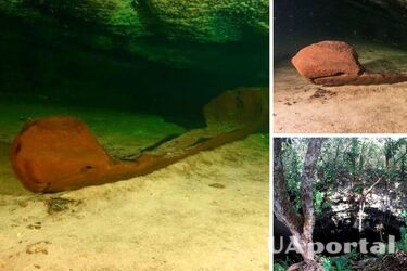 В Мексике нашли каноэ майя XVI века, окруженное костями животных и людей (фото)