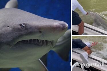 У США на відео потрапила акула, яка схопила рибалку й потягла у воду