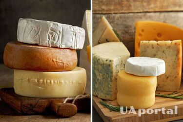 Як правильно зберігати тверді сири