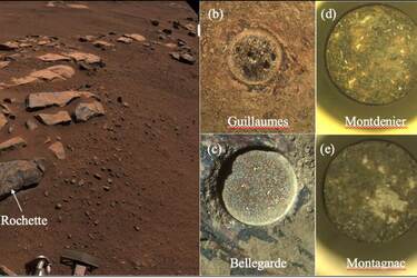 Scientists find traces of organic matter on Mars
