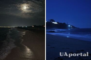 Почему нельзя купаться ночью