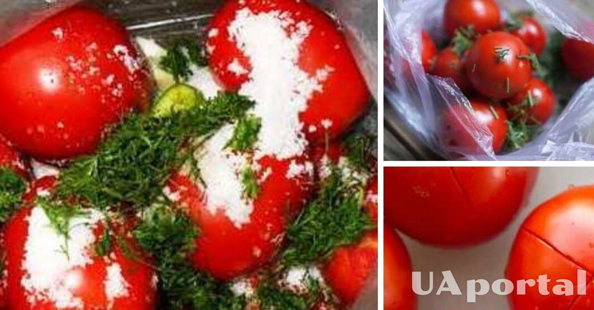 Как приготовить малосольные помидоры в пакете, которые будут готовы к употреблению через три дня