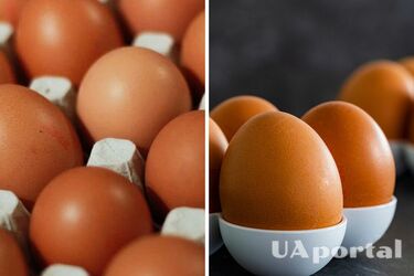How to determine the freshness of eggs without leaving the counter: top three effective tips