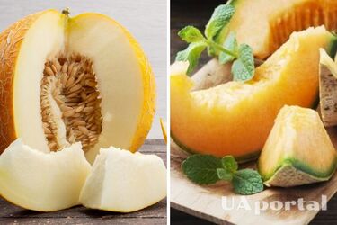 How to choose a delicious melon: tricks you didn't know about