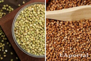 Как выбрать качественную гречку: топ-3 совета от опытных поваров