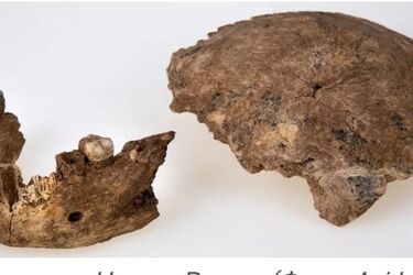 Археологи знайшли на Близькому Сході останки невідомого типу стародавньої людини віком 120 000 років