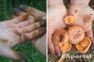 How to wash your hands after cleaning mushrooms: tips from housewives