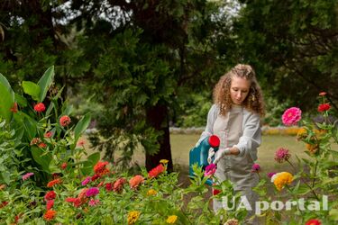 Експерти пояснили, як створити дизайн саду у стилі котеджу: підкресліть природну красу довкілля