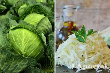 Господині поділились рецептом легкого літнього салату з капусти: потрібно всього 10 хвилин