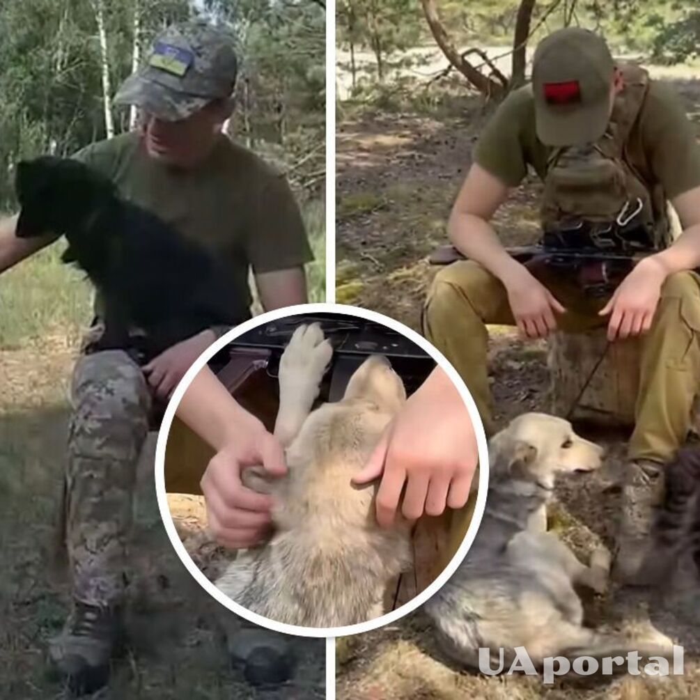 Две собаки сбежали из Беларуси и несут службу с украинскими пограничниками (видео)