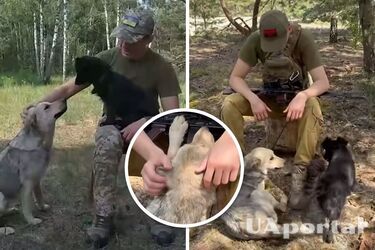 Две собаки сбежали из Беларуси и несут службу с украинскими пограничниками (видео)