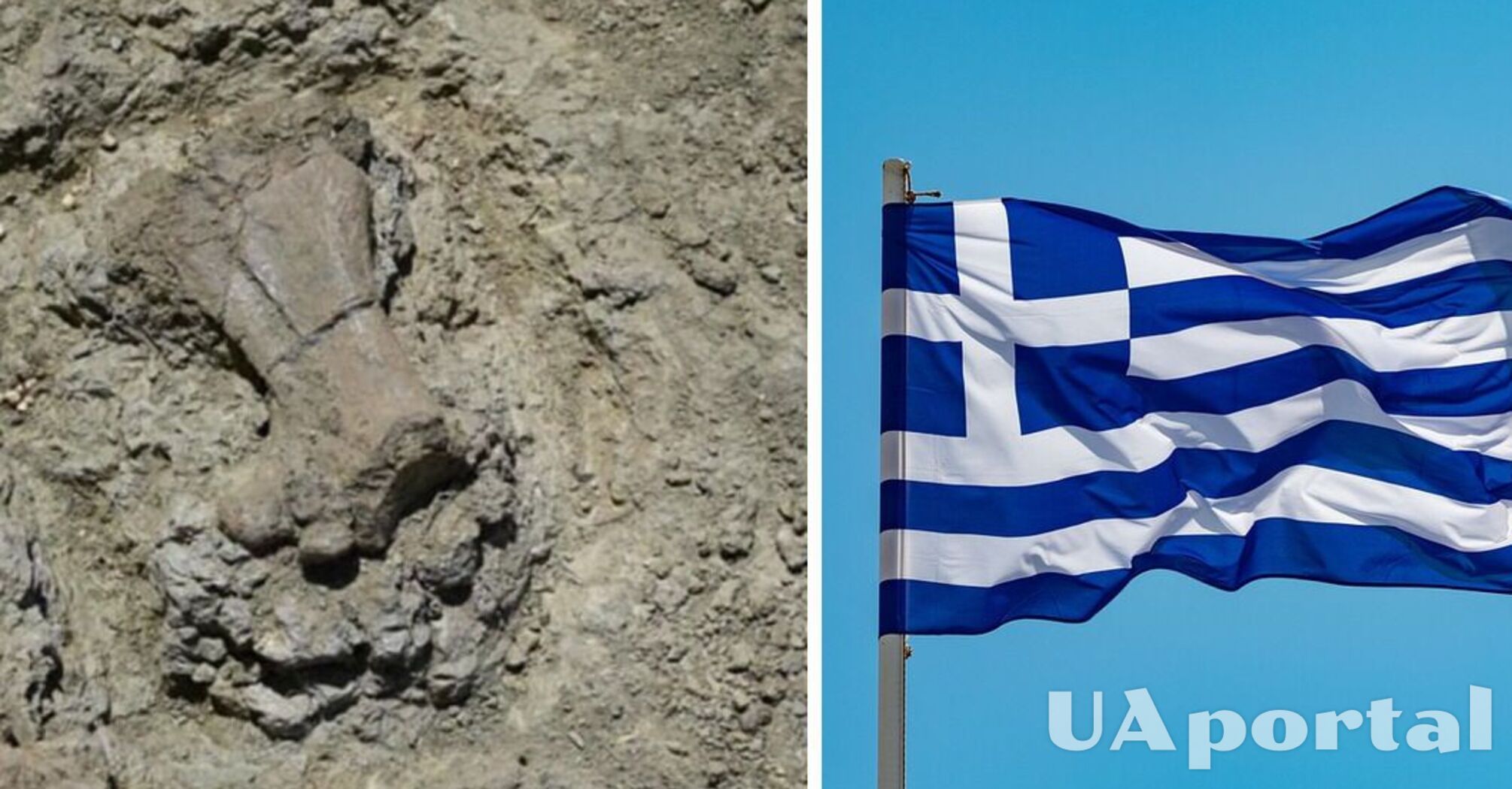 Археологи обнаружили останки древнего карликового бегемота в Греции (фото)