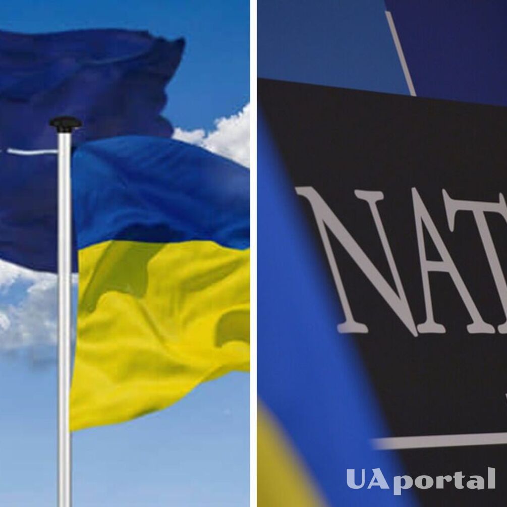 Превышает показатели некоторых государств-членов: сколько стандартов НАТО введено в Украине
