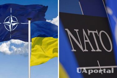 Превышает показатели некоторых государств-членов: сколько стандартов НАТО введено в Украине