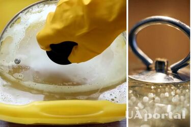 Как отмыть стеклянную крышку от жира и нагара