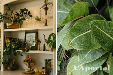 Полив вазонов во время отпуска – как поливать вазоны, когда никого нет дома