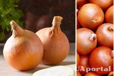 Что делать, чтобы лук не начал быстро гнить: советы