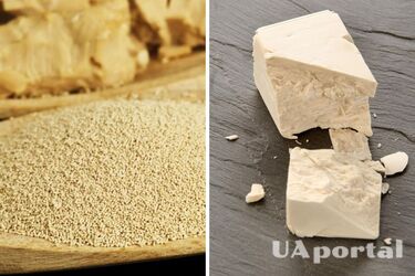 Why use yeast in your laundry: you'll be happy